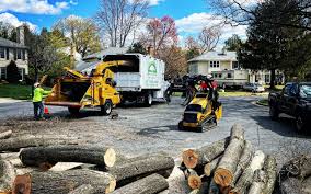 Best Lawn Drainage Solutions  in Poplar Grove, IL