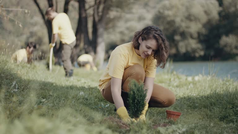 Best Soil Testing and Treatment  in Poplar Grove, IL
