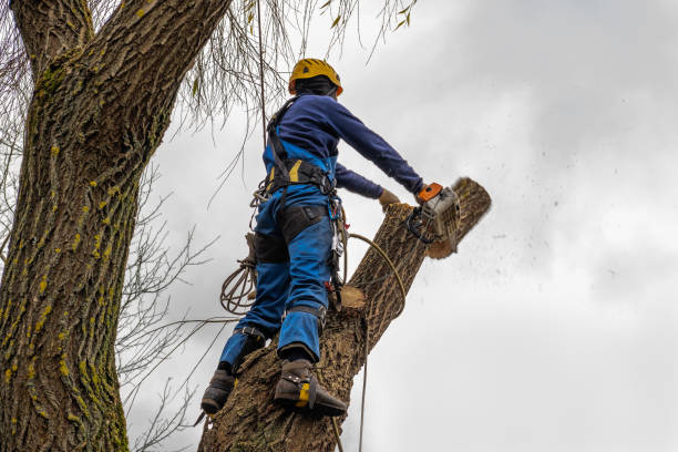 Mulching Services in Poplar Grove, IL